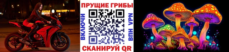 Псилоцибиновые грибы мицелий купить Сосновый Бор