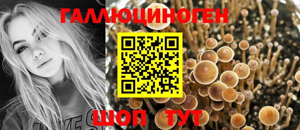 Сосновый Бор  Галлюциногенные грибы Cubensis  Вход с VPN  Галлюциногенные грибы ЛСД 