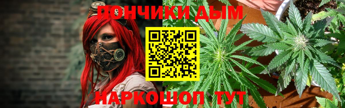 МАРИХУАНА White Widow Сосновый Бор